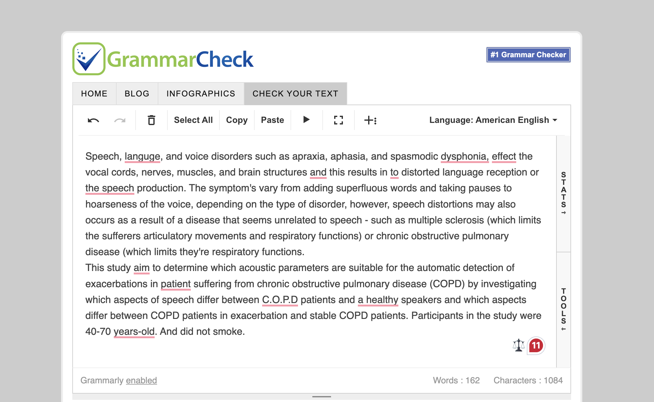 استفاده از ابزار grammercheck